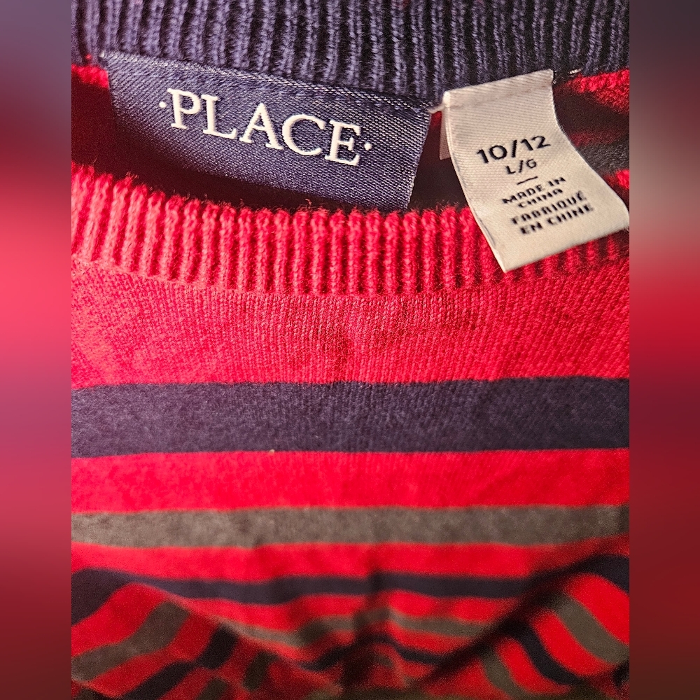 The Children's Place Red and Navy Striped Vest